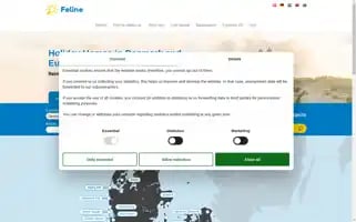 Feline-holidays.com Screenshot 2024-07-01 00:00:34