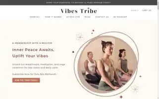 Vibestribe.co Screenshot 2024-05-04 03:34:09