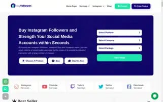 Buyfollower.io Screenshot 2024-06-18 03:02:01