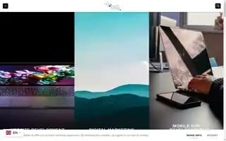 Directoptimize.com Screenshot 2024-06-26 13:01:10