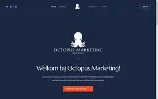 Octopusmarketing.nl Screenshot 2024-06-14 08:54:46