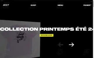 Zestore.fr Screenshot 2024-06-12 06:02:44