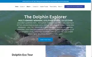Dolphin-study.com Screenshot 2024-05-09 11:12:25