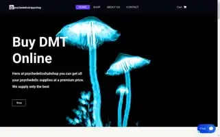 Psychedelicstrippyshop.com Screenshot 2024-04-16 18:12:53