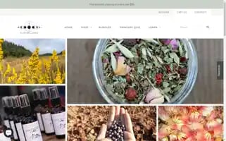 Plumbrilliance.com Screenshot 2024-05-16 13:05:52