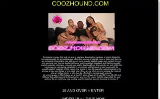 Coozhound.com Screenshot 2024-07-07 10:11:06