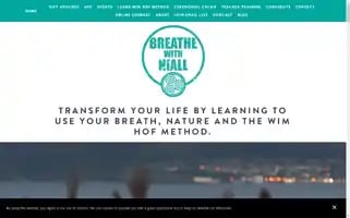 Breathewithniall.com Screenshot 2024-06-17 11:12:15
