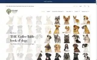 Roverworks.org Screenshot 2024-05-05 23:04:19