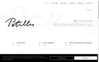 Petillion.law Screenshot 2024-07-01 09:24:36