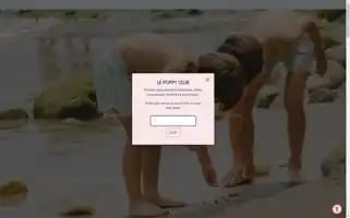 Poppystores.com Screenshot 2024-05-05 02:56:32