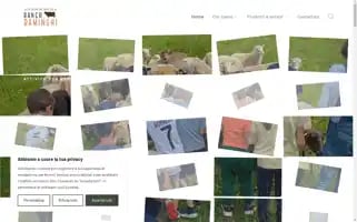 Ranchraminghi.it Screenshot 2024-05-25 11:09:15
