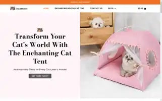 Incattent.com Screenshot 2024-06-15 20:38:27