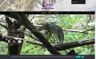 Congotransfersnosara.com Screenshot 2024-05-21 03:32:50