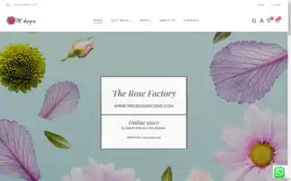 Trfdesignstudio.com Screenshot 2024-05-18 19:22:15