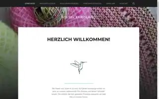 Kolbeckerisland.de Screenshot 2024-05-27 23:00:54