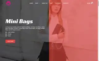 Minibags.org Screenshot 2024-05-29 10:57:38