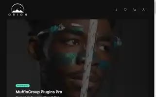Orionmgnt.com Screenshot 2024-04-27 11:03:21