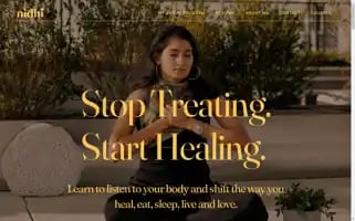 Nidhipandya.com Screenshot 2024-07-03 07:32:29