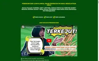 Naksehat.com Screenshot 2024-05-20 11:44:15