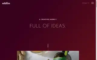 Wildfireideas.com Screenshot 2024-06-13 08:44:17