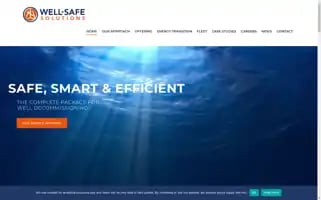 Wellsafesolutions.com Screenshot 2024-06-29 14:59:10