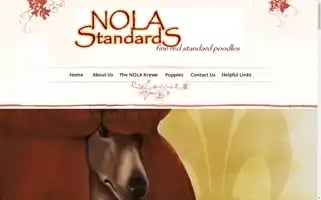 Nolastandards.com Screenshot 2024-06-29 15:25:43