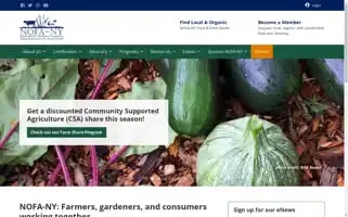 Nofany.org Screenshot 2024-05-13 04:00:01