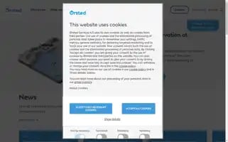 Orsted.com Screenshot 2024-06-30 14:56:21