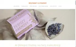 Relevantstudios.com Screenshot 2024-06-12 23:23:58