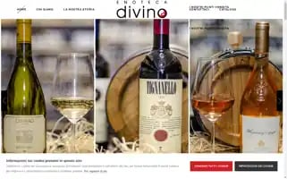 Enotecadivinosalento.it Screenshot 2024-07-08 11:14:12