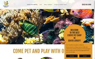 Valuepetcenter.com Screenshot 2024-05-16 23:08:37