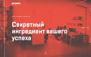 Bearrry.com Screenshot 2024-07-04 17:17:24