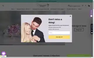 Diamondveneer.com Screenshot 2024-05-04 09:45:23