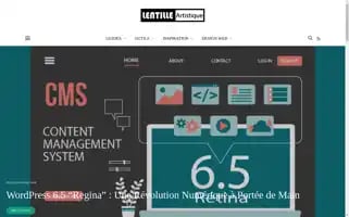 Lentilleartistique.com Screenshot 2024-06-17 13:37:43