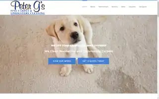 Petergscleaning.com Screenshot 2024-05-16 12:30:07