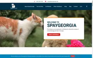 Spaygeorgia.org Screenshot 2024-05-14 01:00:42