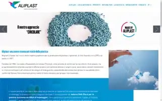 Aliplastspa.com Screenshot 2024-06-13 18:07:04
