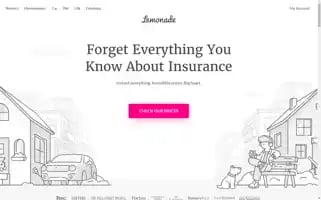 Lemonade.com Screenshot 2024-05-12 17:34:29