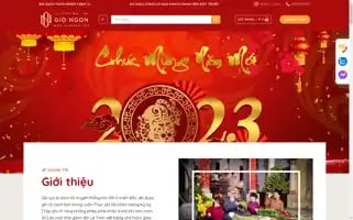 Giongon.com Screenshot 2024-05-24 17:08:40