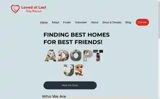 Lovedatlastdogrescue.ca Screenshot 2024-06-12 16:31:09