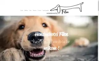 Hondenhotel-filoe.com Screenshot 2024-04-24 10:28:10