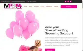 Modernpetsalonmobile.com Screenshot 2024-05-21 01:45:07