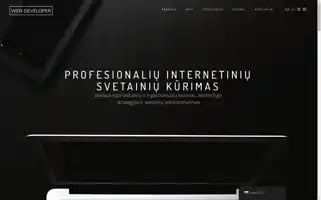 Web-developer.lt Screenshot 2024-06-26 01:08:38