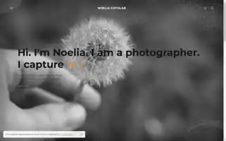 Noeliafotolab.com Screenshot 2024-05-21 15:06:41