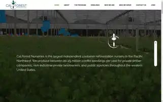 Calforest.com Screenshot 2024-07-05 18:55:19
