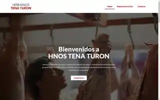 Tenaturon.com Screenshot 2024-05-26 22:31:58