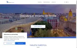 Be-touristcard.com Screenshot 2024-04-16 16:18:51