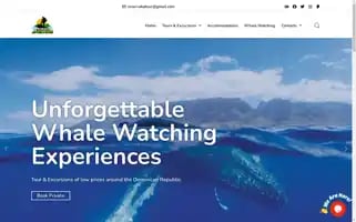 Saona-island-tours-and-excursions.com Screenshot 2024-04-18 12:01:33