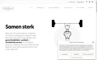 Siteffect.be Screenshot 2024-06-18 04:43:50