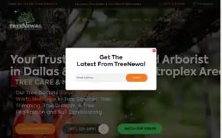 Treenewal.com Screenshot 2024-06-11 08:32:27